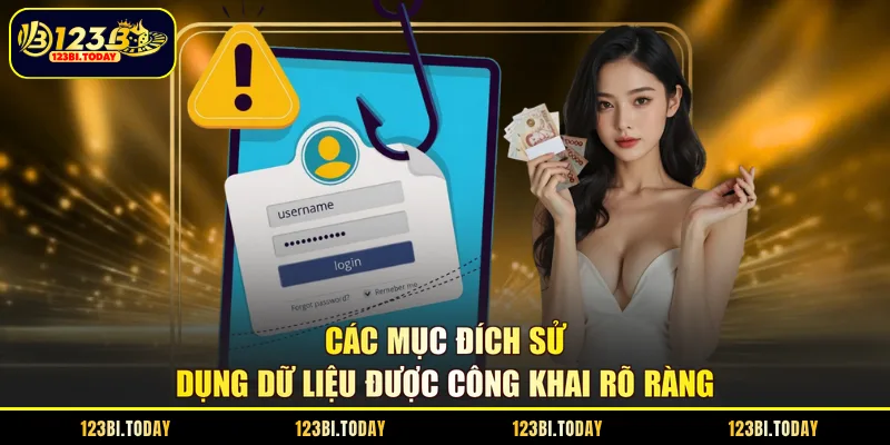 Các mục đích sử dụng dữ liệu được công khai rõ ràng