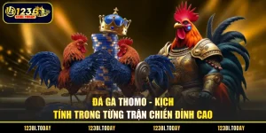 đá gà thomo