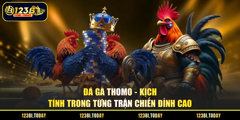 đá gà thomo