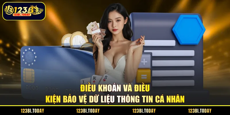 Điều khoản và điều kiện bảo vệ dữ liệu thông tin cá nhân