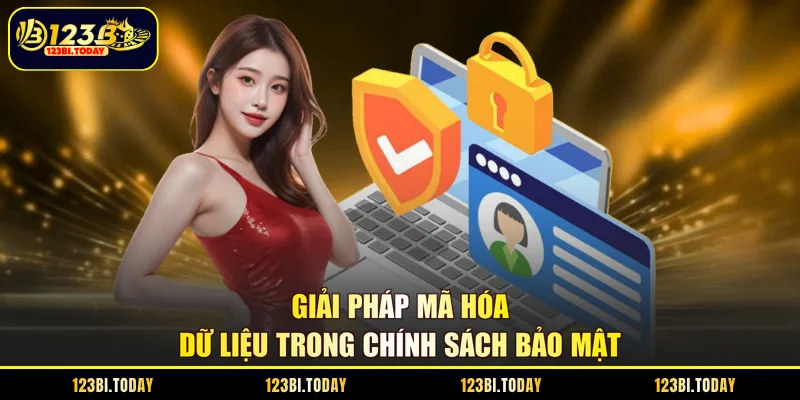 Giải pháp mã hóa dữ liệu trong chính sách bảo mật