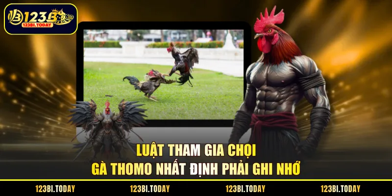 Luật tham gia chọi gà Thomo nhất định phải ghi nhớ
