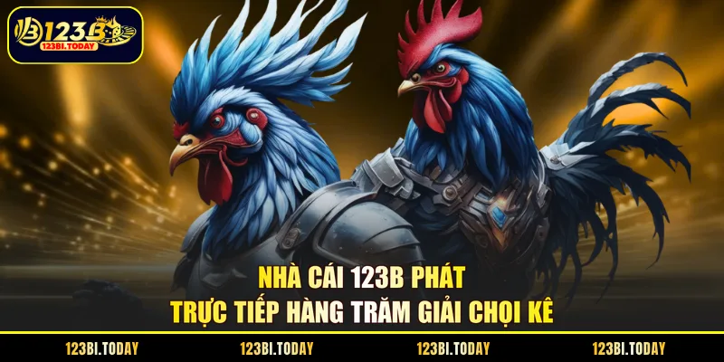 Nhà cái 123B phát trực tiếp hàng trăm giải chọi kê