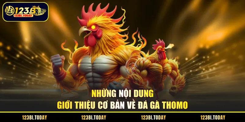 Những nội dung giới thiệu cơ bản về đá gà Thomo