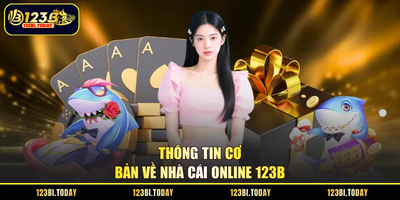 Giới Thiệu Tổng Quan Thương Hiệu 123B
